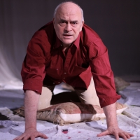 Photos: First Look at Peter Tate in PICASSO at The Playground Theatre