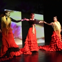 Photo Flash: 8th Annual Spring Flamenco Festival at Teatra Paraguas Photos