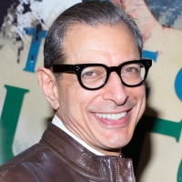 Jeff Goldblum to Voice the Lead in Musical Animation THEY SHOT THE PIANO PLAYER Photo