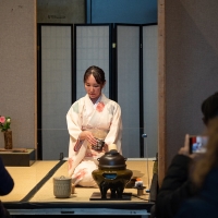 Welcome Spring and Honor The Renewal Of Life At The Seattle Cherry Blossom & Japanese