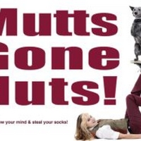 MUTTS GONE NUTS! Returns to the State Theatre Next Weekend