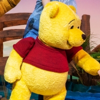 Celebrate National WINNIE THE POOH Day with A GMA Performance, January 18 Photo
