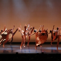 Dallas Black Dance Theatre Launches On-Demand Collection Photo