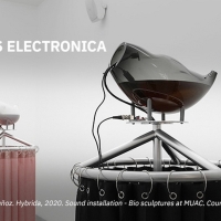 Five Artists Selected For Inaugural CIFO-Ars Electronica Awards