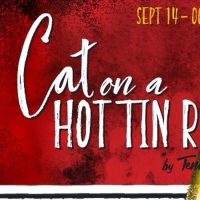 Virginia Stage Company Presents CAT ON A HOT TIN ROOF Beginning This Month Photo