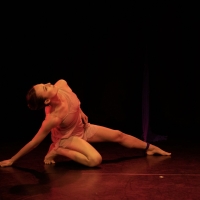 Amanda Selwyn Dance Theatre to Premiere THREADS Photo