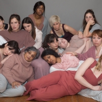 The PumpHouse Theatre Presents THE VAGINA MONOLOGUES