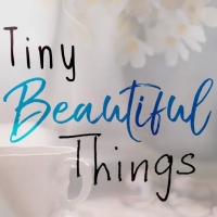 TINY BEAUTIFUL THINGS Comes to Theatre Tallahassee in September Photo