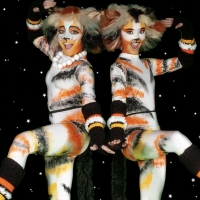 CATS Comes to ASB Waterfront Theatre Next Month Photo