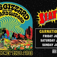 King Gizzard & The Lizard Wizard Announced At Carnation , June 2023  Photo