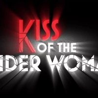 Kennedy Center Cancels Production of KISS OF THE SPIDER WOMAN Photo