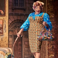 Photos: First Look at Ian McKellen, John Bishop & More in MOTHER GOOSE UK & Ireland T Video