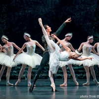 Casting Announced For SWAN LAKE at the New National Theatre, Tokyo Photo
