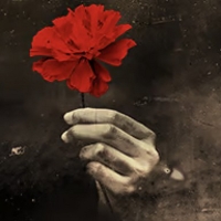 Performing Arts Fort Worth Presents HADESTOWN This Summer