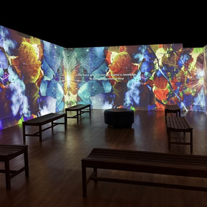 PERENNIAL LAND - The Data Forest Immersive Installation Opens At Morris Museum Photo