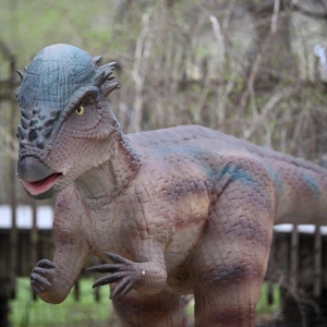 CAMELBACK RESORT in Tannersville, Pa. Announces 'Dinobeach' Video