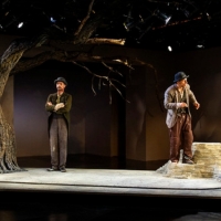 Review: WAITING FOR GODOT at Barrington Stage Company Video