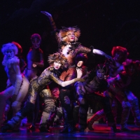 BWW Review: Why I'm Not Crazy About CATS at Dr. Phillips Center Photo