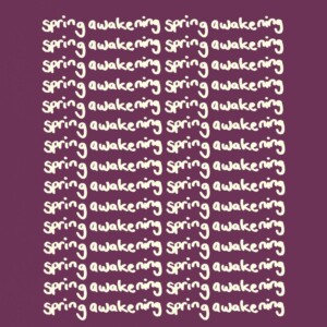 Exclusive: SPRING AWAKENING Revival Saw About ‘130 Hours’ of Auditions, It Will B Photo