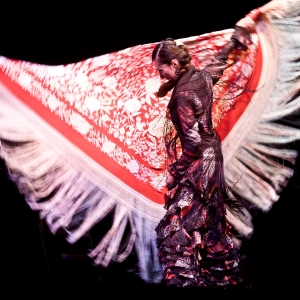 2024 Los Angeles International Flamenco Festival World-Class Flamenco Artists Direct  Photo