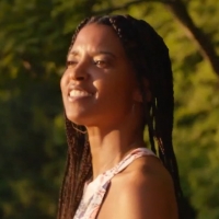VIDEO: Renee Elise Goldsberry Celebrates Women's Equality Day with a Tribute to Suffr Video