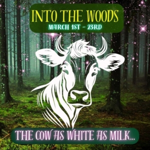 Review: INTO THE WOODS at Musical Theatre Southwest