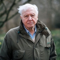 Sir David Attenborough Returns to BBC One with EXTINCTION Photo