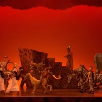 VIDEO: EVERYBODY DANCE NOW! A Look Back at 'Circle of Life' From THE LION KING