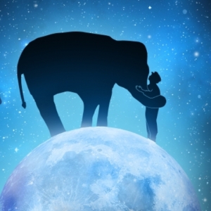 THE MAGICIAN'S ELEPHANT Is Now Available for Licensing Photo