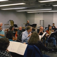 Video: Get a First Listen to the 28-Piece Orchestra for DEAR WORLD at New York City C Photo