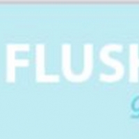 Flushing Town Hall Announces 7th Season Of Global Mashups Photo