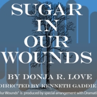 Review: SUGAR IN OUR WOUNDS at The Weekend Theater