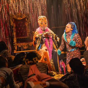 CATS: THE JELLICLE BALL Cancels Performance July 13th Photo
