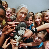 ME JANE...THE DREAMS & ADVENTURES OF A YOUNG JANE GOODALL Gets Chicago Children's…