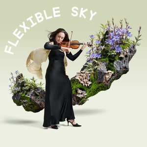 Melbourne Chamber Orchestra to Debut FLEXIBLE SKY with Slava Grigoryan in 2026 Video