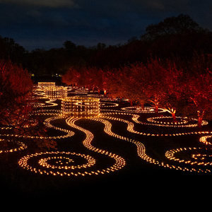 Brooklyn Botanic Garden's Lightscape Opens To The Public For 2025