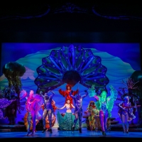 BWW REVIEW: Theatre Under the Stars' THE LITTLE MERMAID is a Timeless Tale Bursting w Photo