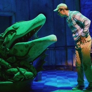 Wake Up With BroadwayWorld September 23, 2025- LITTLE SHOP Welcomes New Stars and Mor Photo