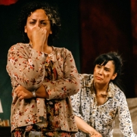 BWW Review: LA RUTA at Artists Rep