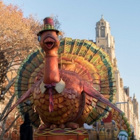 HADESTOWN, BEETLEJUICE, AIN'T TOO PROUD, and TINA to Perform on the Macy's Thanksgivi Photo