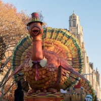 Wake Up With BWW 11/14: Thanksgiving Parade Performances Announced, and More! Image