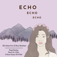 ECHO: A Musical Quest To Premiere At SPARK! Theatre Festival This Month Photo