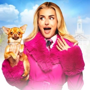 LEGALLY BLONDE THE MUSICAL Set for March Run at Milton Keynes Theatre Photo