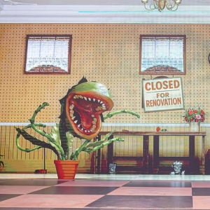 Review: LITTLE SHOP OF HORRORS at Planet Royale Photo