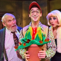 BWW Review: Laughter and Fun Take Root with LITTLE SHOP OF HORRORS at Beef & Boards Photo