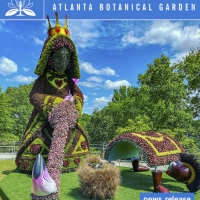 Alice's Wonderland Returns, Bigger, Better Than Ever at Atlanta Botanical Garden Photo