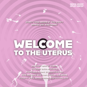 WELCOME TO THE UTERUS is Coming to the Stephanie Feury Studio Theatre Photo