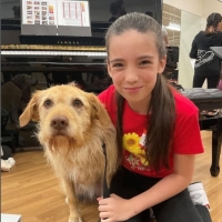 Interview: Bill Berloni Helps Shelter Dogs Become Stars of the Stage in ANNIE at Broa Interview