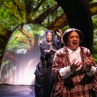 BWW Review: MARYS SEACOLE at Mosaic Theater Company