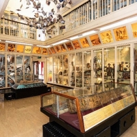 Warrington Museum & Art Gallery Launches New App Photo